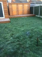 Click for all images